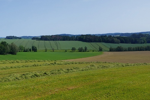 Rostlinná výroba